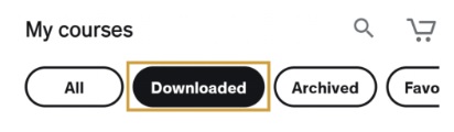 Downloaded.jpg