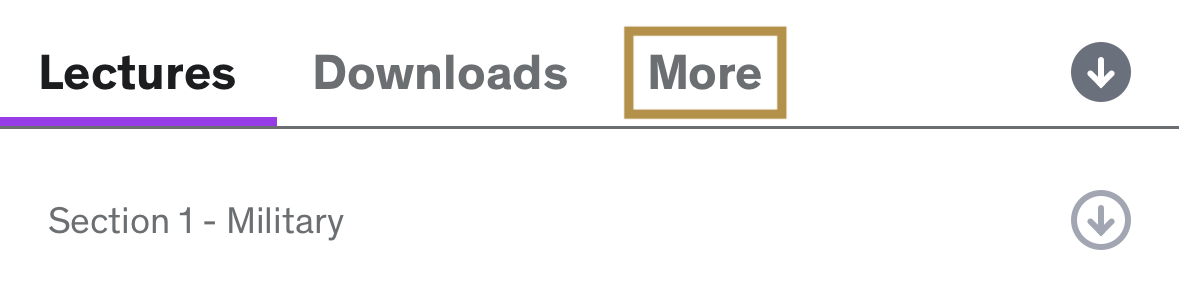 mobile_course_player_main_page_more_button.png