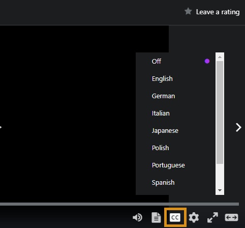 Turning_Subtitles_On_or_Off.jpg