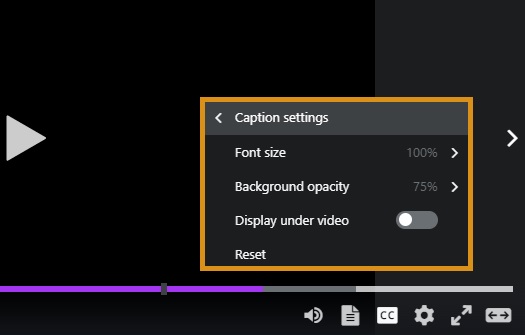 caption_settings.jpg
