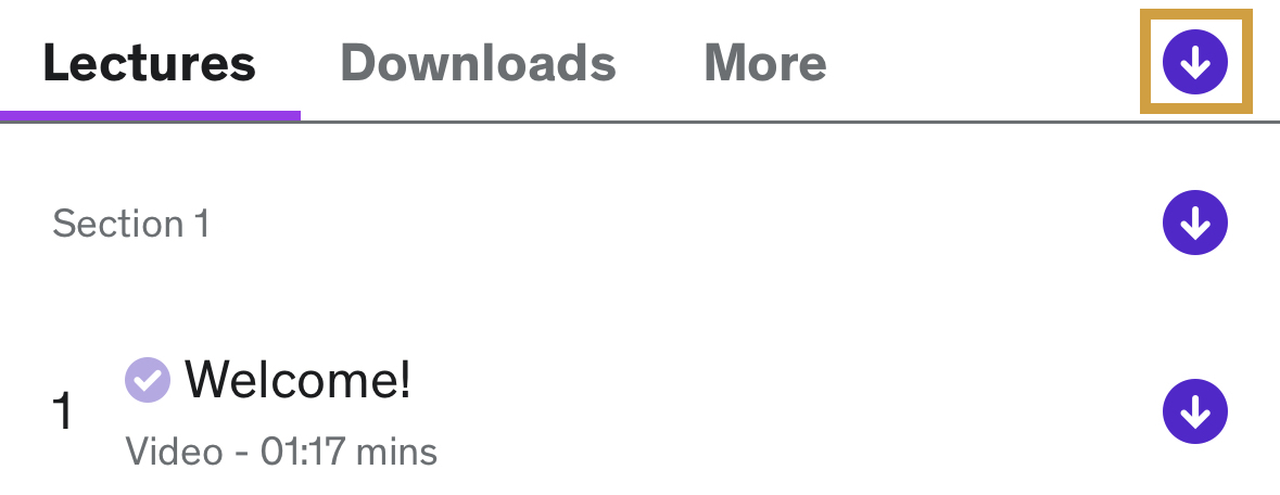 lectures_remove_download_entire_course_iOS.jpeg