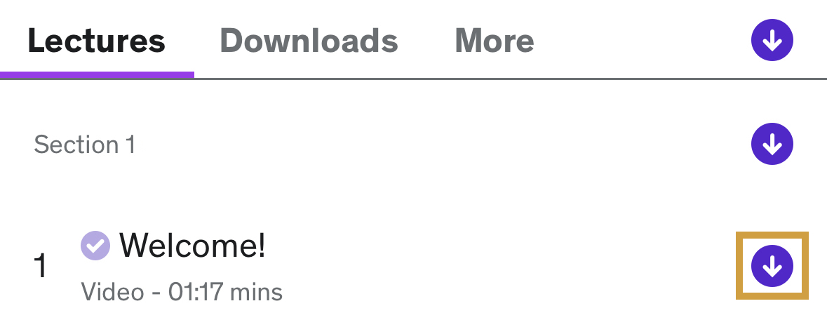 lectures_remove_download_course_lecture_iOS.jpeg