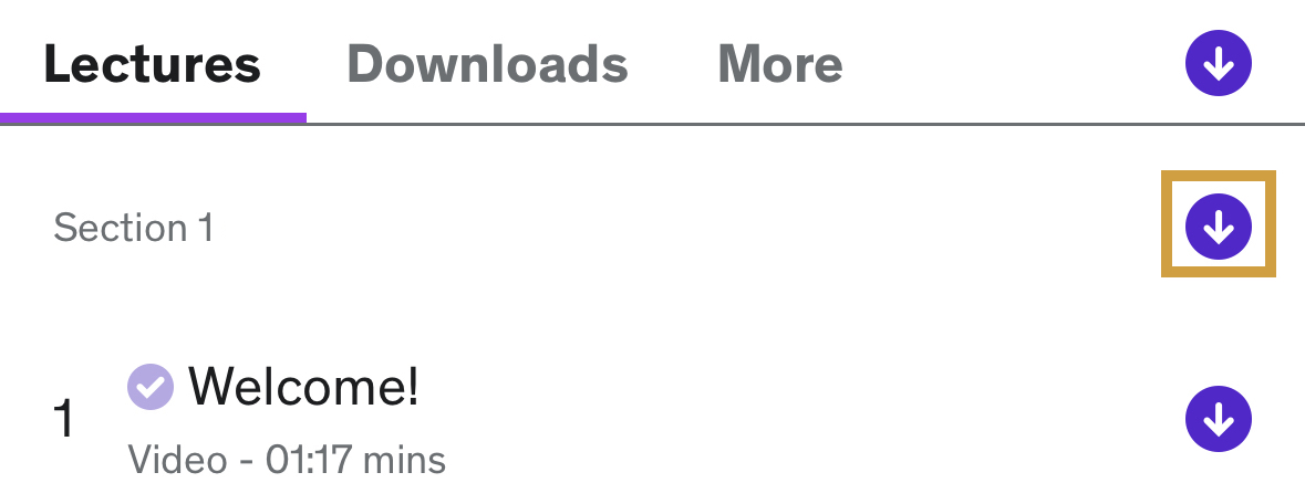 lectures_remove_download_course_section_iOS.jpeg