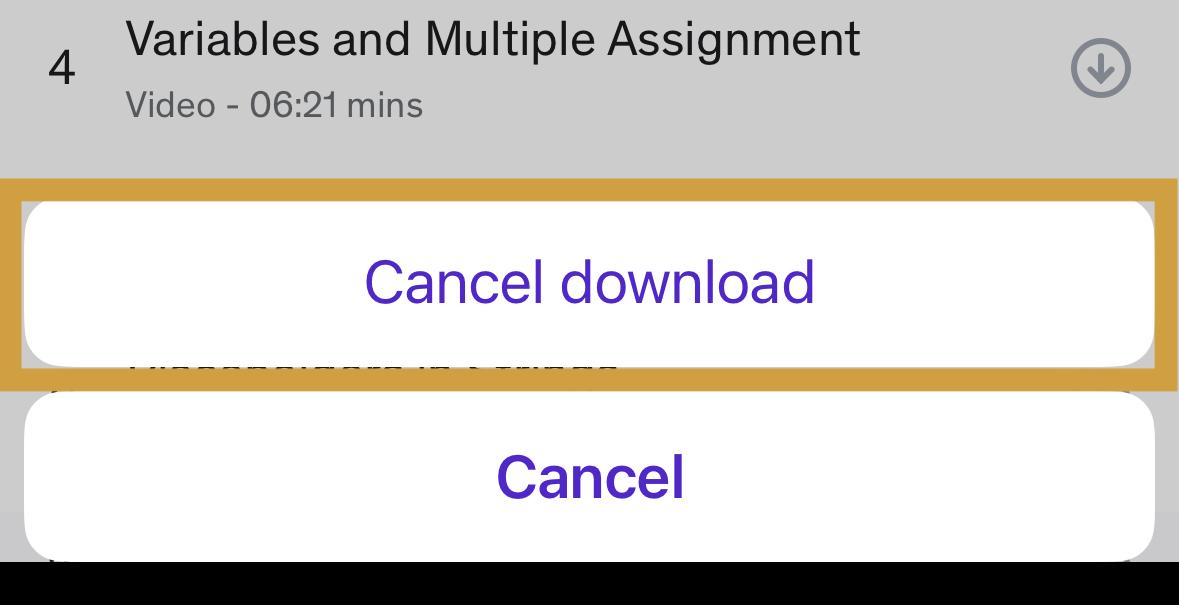 cancel_download_ios.jpeg