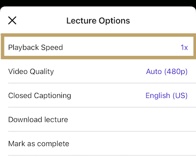 playback_speed_ios.png