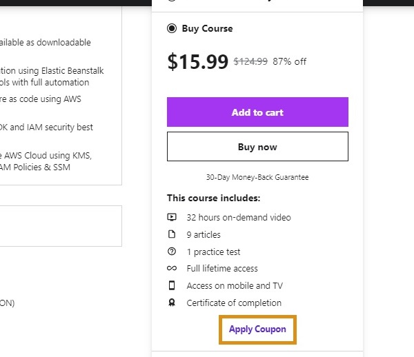 Purchasing a Course Udemy