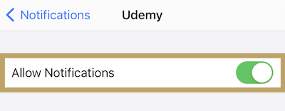 allow_udemy_notifications.png