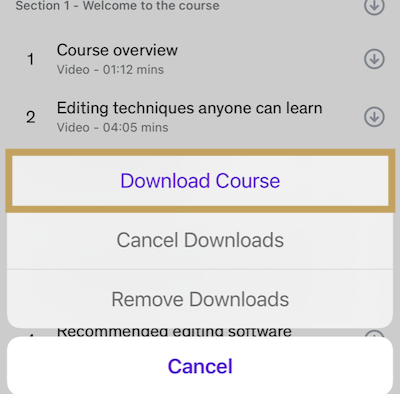 download_course_ios.png